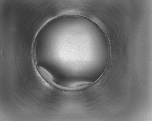 X0000073501392200608140857