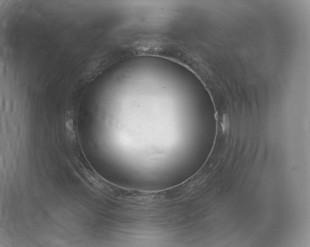 X0000073501396200608140856