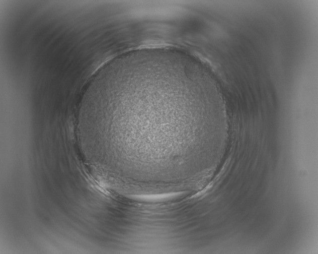 X0000073501401200608140856