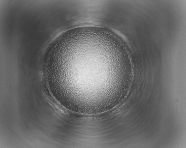 X0000073501407200608140856