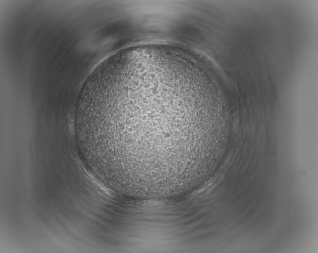 X0000073501409200608140856