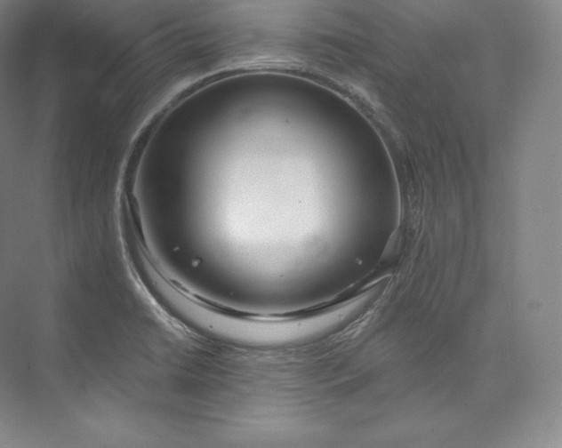 X0000073501422200608140856