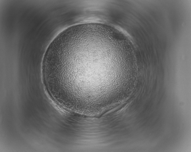 X0000073501423200608140856