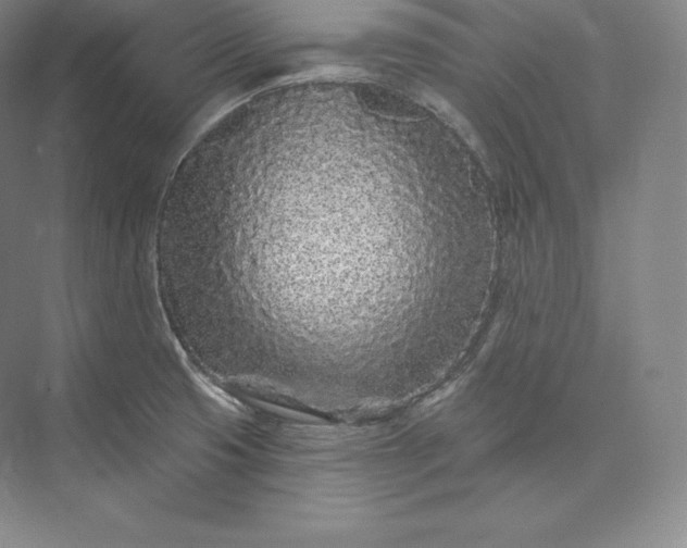 X0000073501425200608140856