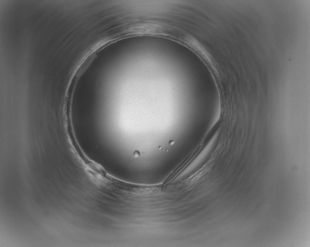 X0000073501434200608140856