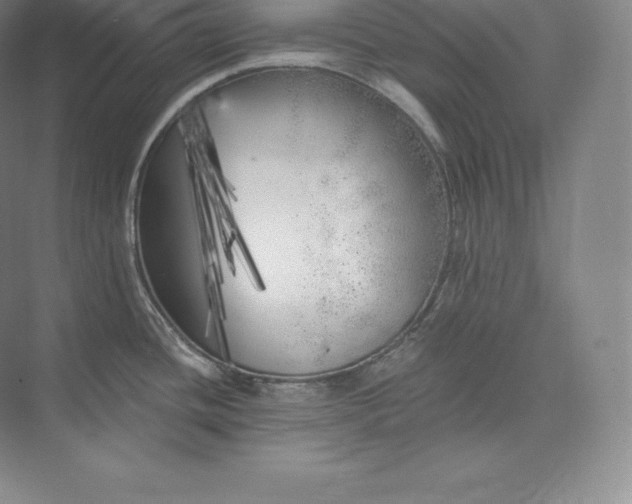 X0000073501436200608140856