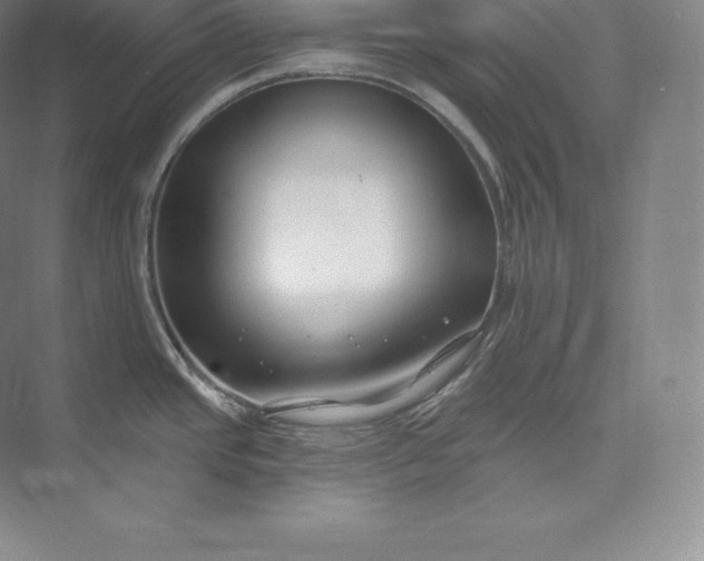 X0000073501437200608140856