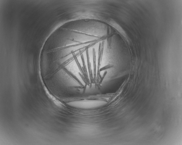 X0000073501439200608140856