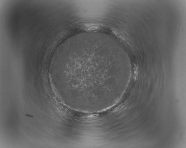 X0000073501441200608140856