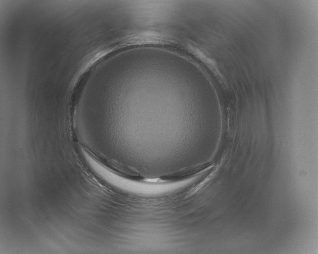 X0000073501453200608140856