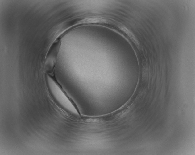X0000073501465200608140855