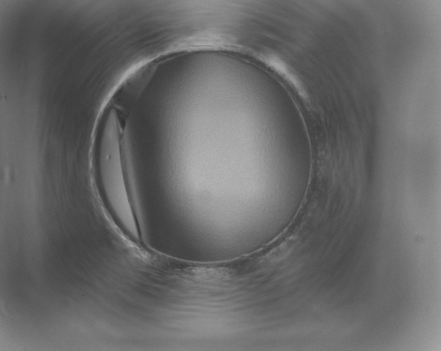 X0000073501469200608140855