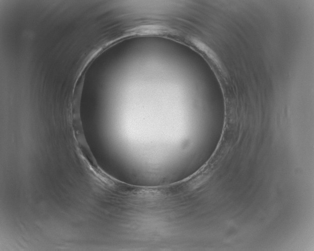 X0000073501473200608140855