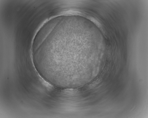X0000073501478200608140855