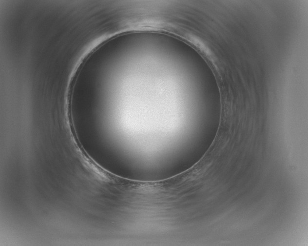 X0000073501480200608140855