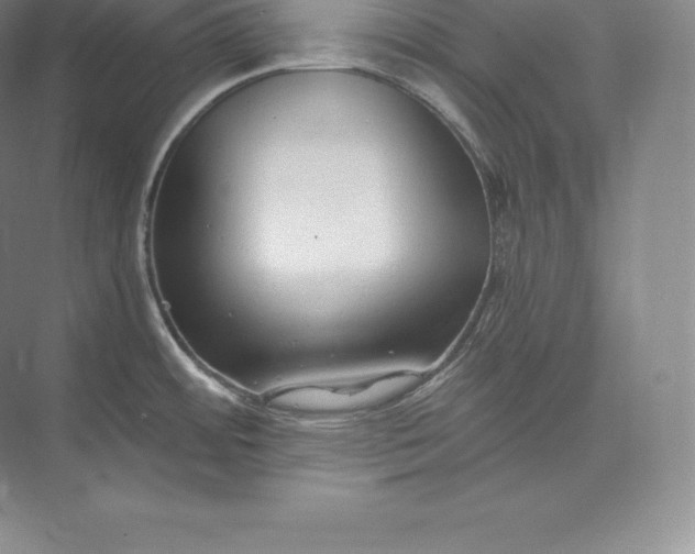 X0000073501484200608140855