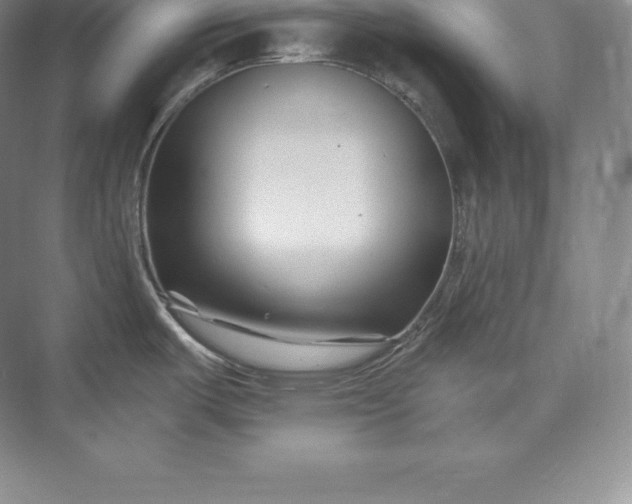 X0000073501487200608140855