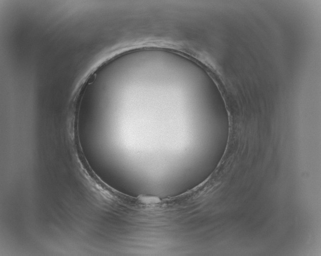 X0000073501504200608140854