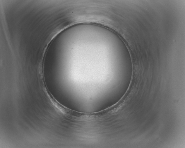 X0000073501521200608140855