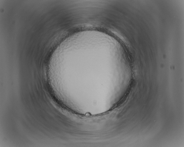 X0000073500022200608211726