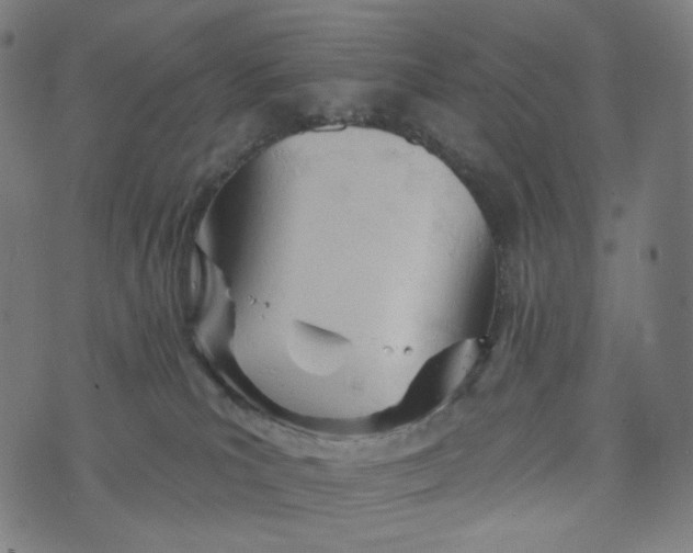 X0000073500039200608211726