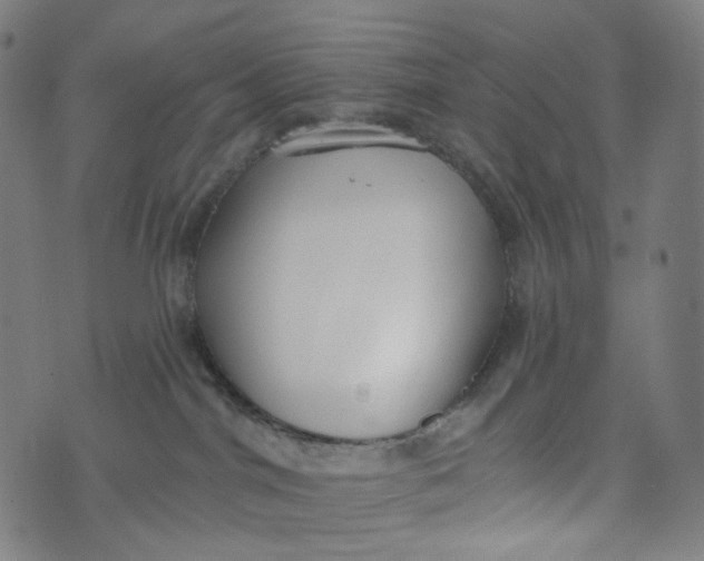 X0000073500044200608211726