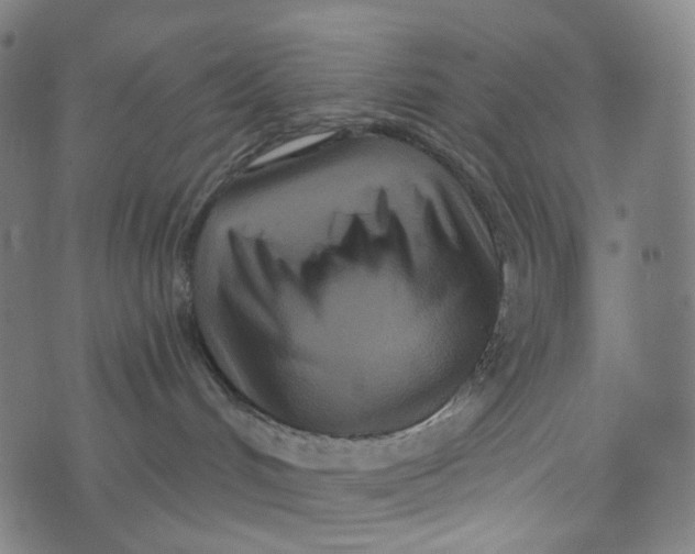 X0000073500048200608211726