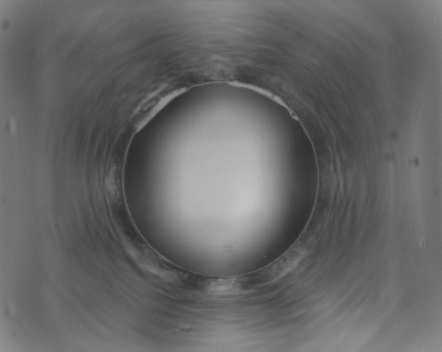 X0000073500088200608211725