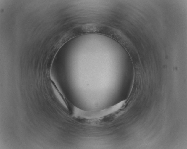 X0000073500125200608211724