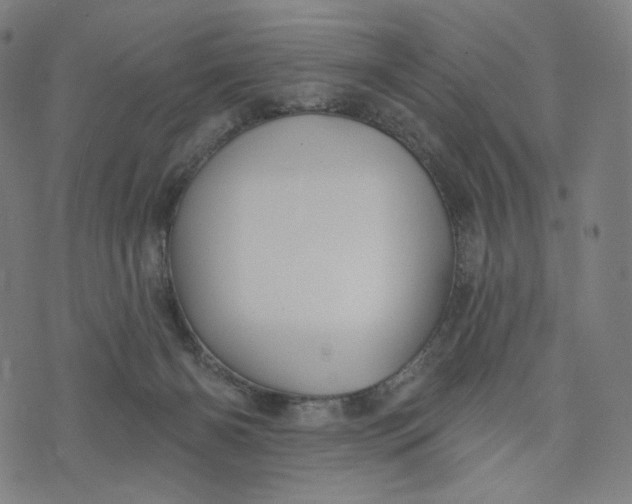 X0000073500126200608211724