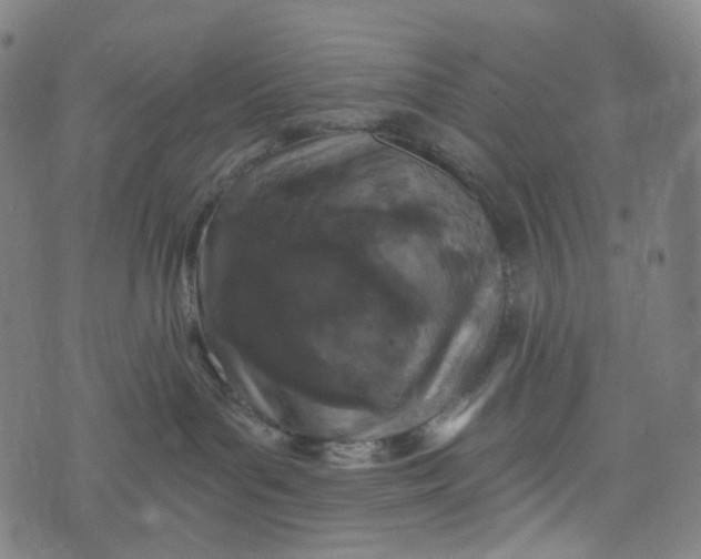 X0000073500143200608211724