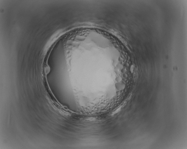 X0000073500151200608211723