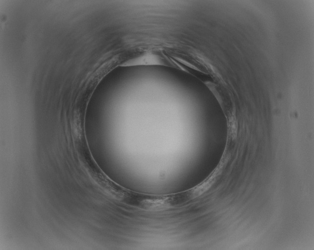 X0000073500170200608211724
