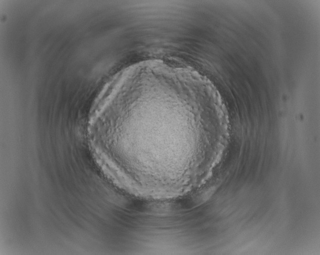 X0000073500181200608211724