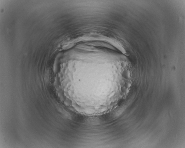 X0000073500189200608211724
