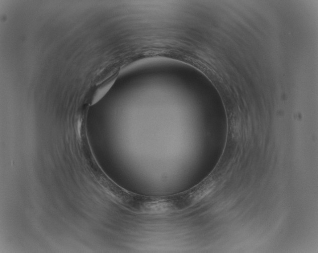 X0000073500219200608211723