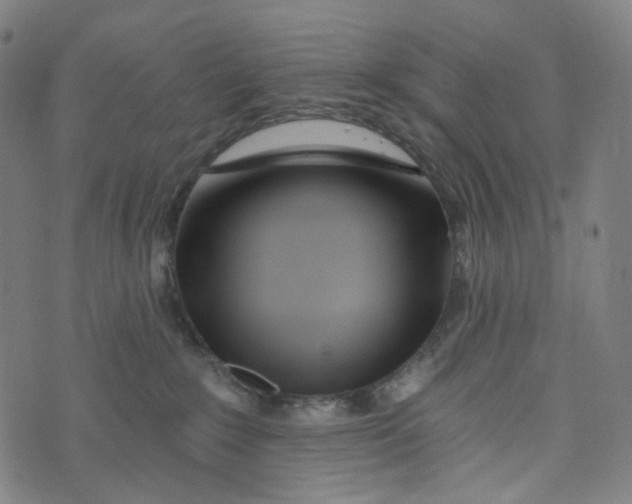 X0000073500235200608211722