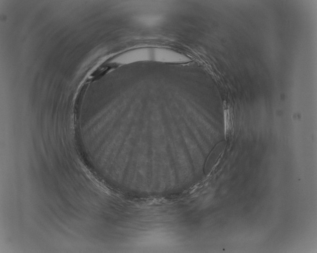 X0000073500243200608211722