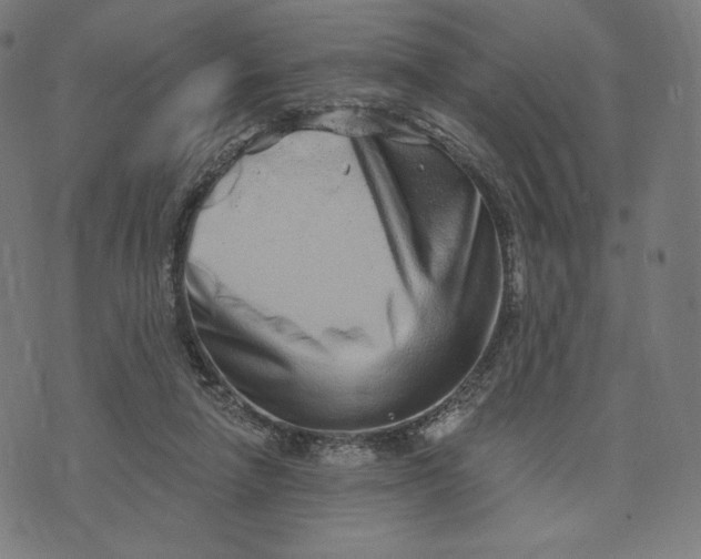 X0000073500258200608211722