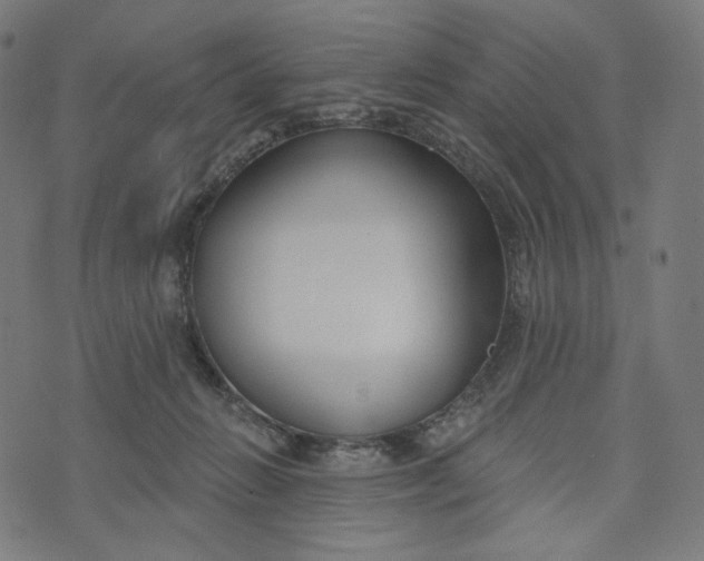 X0000073500270200608211722