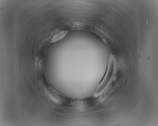 X0000073500276200608211722