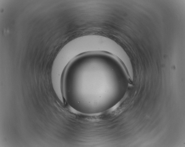 X0000073500284200608211722