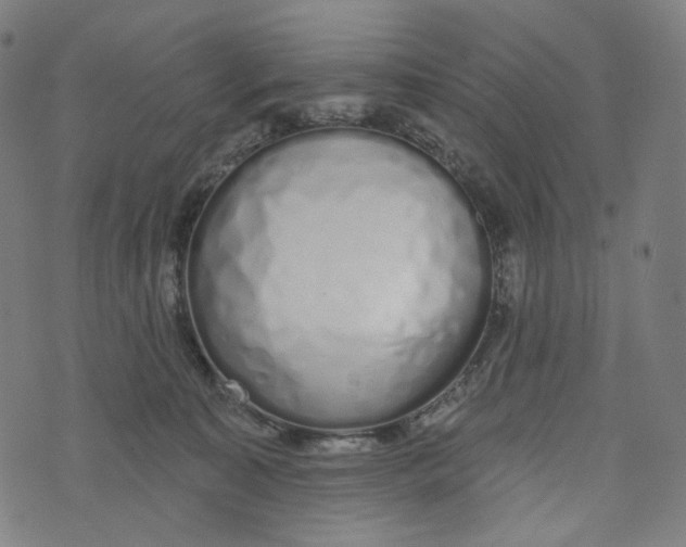 X0000073500323200608211721