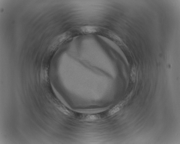 X0000073500330200608211721