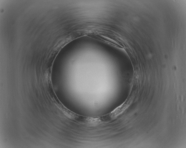 X0000073500333200608211721