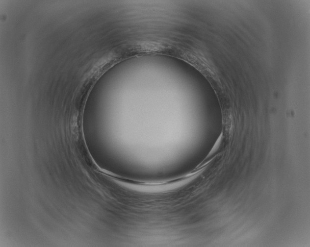 X0000073500360200608211720