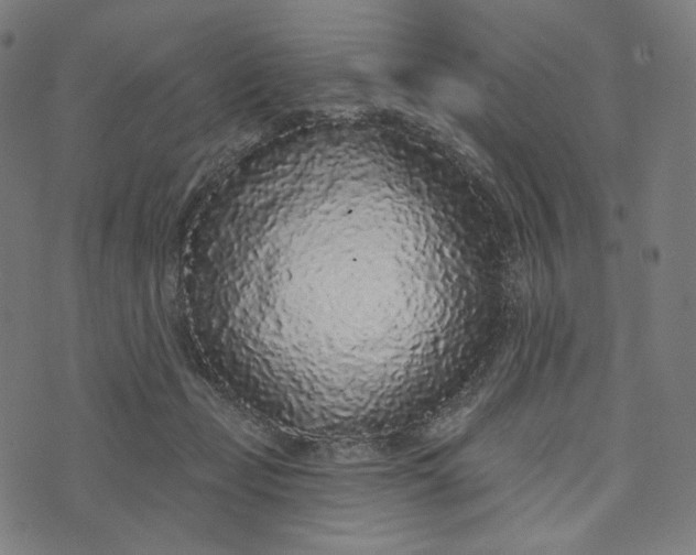 X0000073500365200608211721