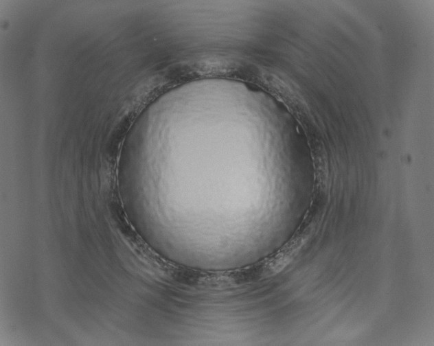 X0000073500367200608211721