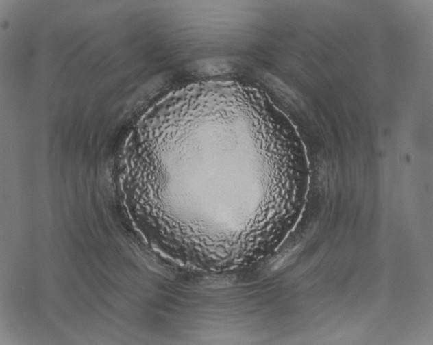 X0000073500373200608211721
