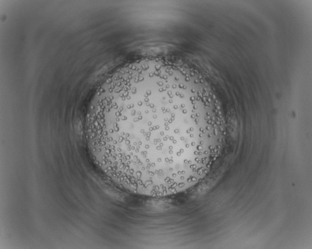 X0000073500375200608211721